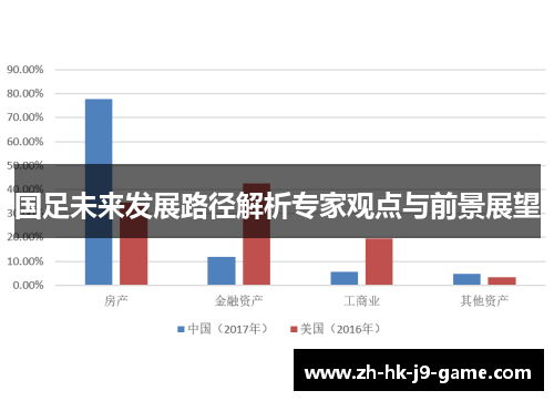 国足未来发展路径解析专家观点与前景展望 国足未来发展路径解析专家观点与前景展望