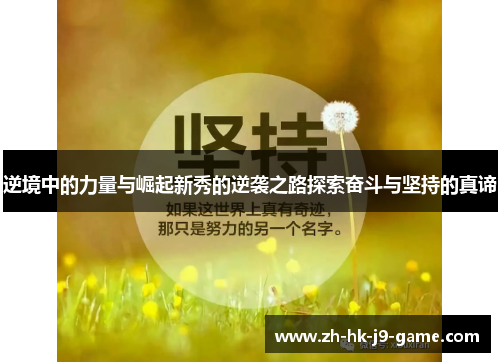 逆境中的力量与崛起新秀的逆袭之路探索奋斗与坚持的真谛 逆境中的力量与崛起新秀的逆袭之路探索奋斗与坚持的真谛