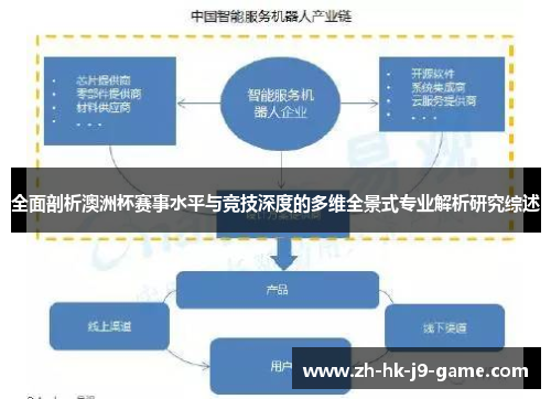全面剖析澳洲杯赛事水平与竞技深度的多维全景式专业解析研究综述