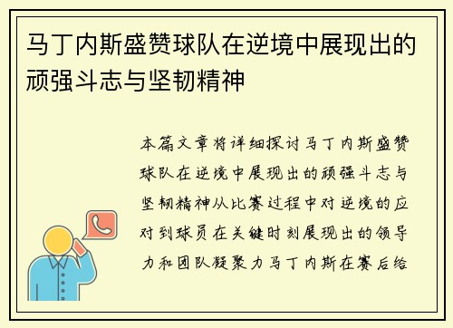 马丁内斯盛赞球队在逆境中展现出的顽强斗志与坚韧精神