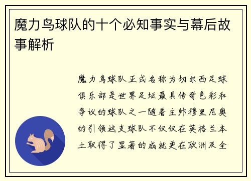 魔力鸟球队的十个必知事实与幕后故事解析